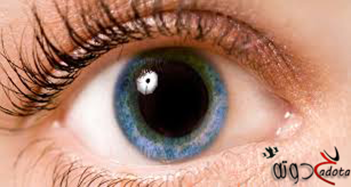 تفسير رؤية بؤبؤ العين في المنام
