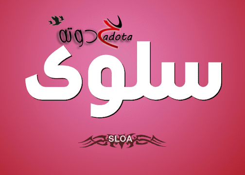 تفسير رؤية اسم سلوى في المنام