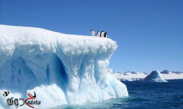 تفسير رؤية الجليد في المنام