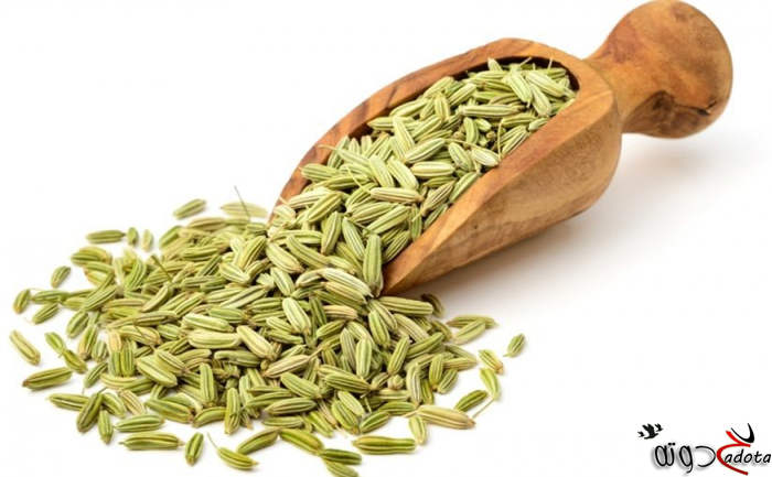 تفسير رؤية البسباس أو الشمر في المنام