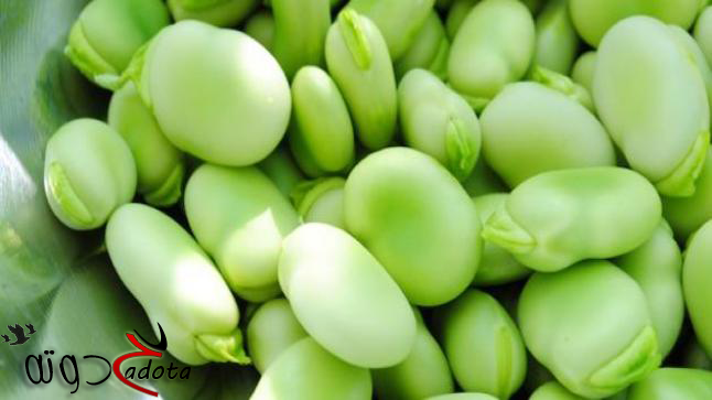 ما هو تفسير حلم الفول الأخضر في المنام