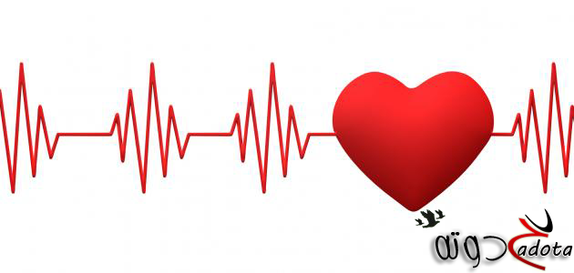 تفسير رؤية سماع دقات قلب شخص في المنام
