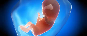 تفسير رؤية ظهور وجه الجنين من البطن في المنام