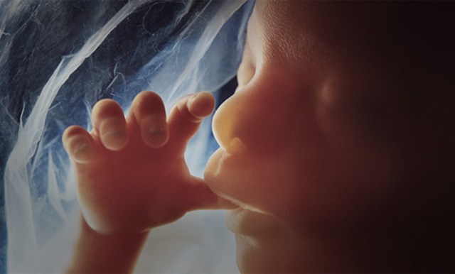 تفسير رؤية ظهور يد الجنين من البطن في المنام
