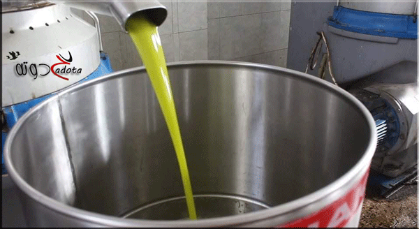 تفسير رؤية معصرة زيت الزيتون في المنام