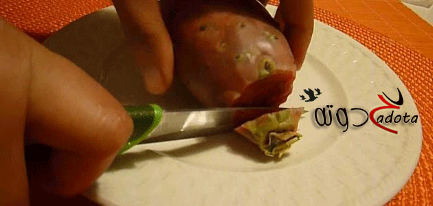 تفسير رؤية تقشير التين الشوكي في المنام