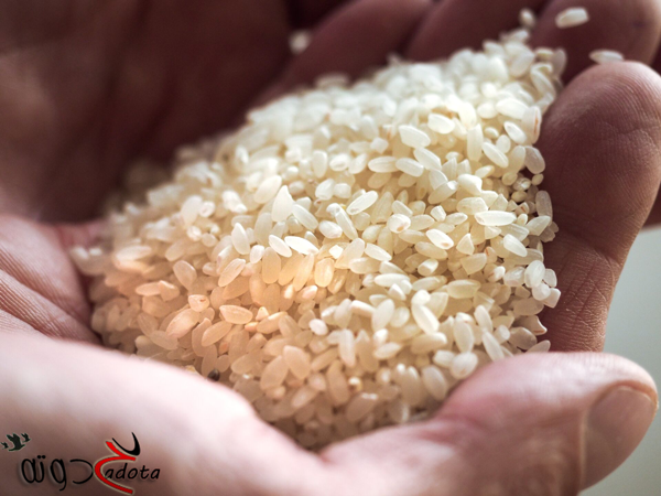 تفسير رؤية الأرز في المنام لابن سيرين