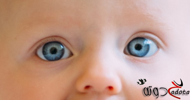 تفسير حلم طفل جميل عيونه زرقاء في المنام