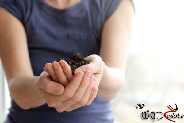 تفسير حلم أكل التراب في المنام