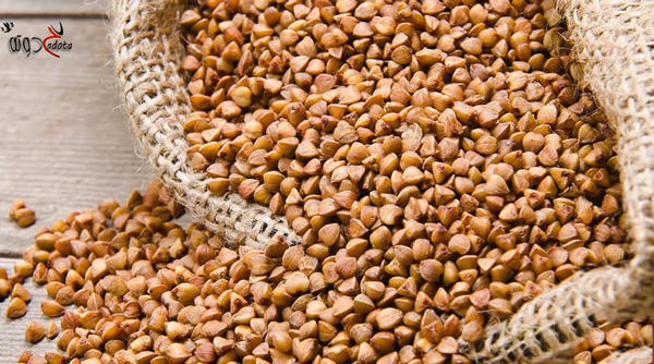 ما هو تفسير رؤية الحنطة في المنام لابن سيرين