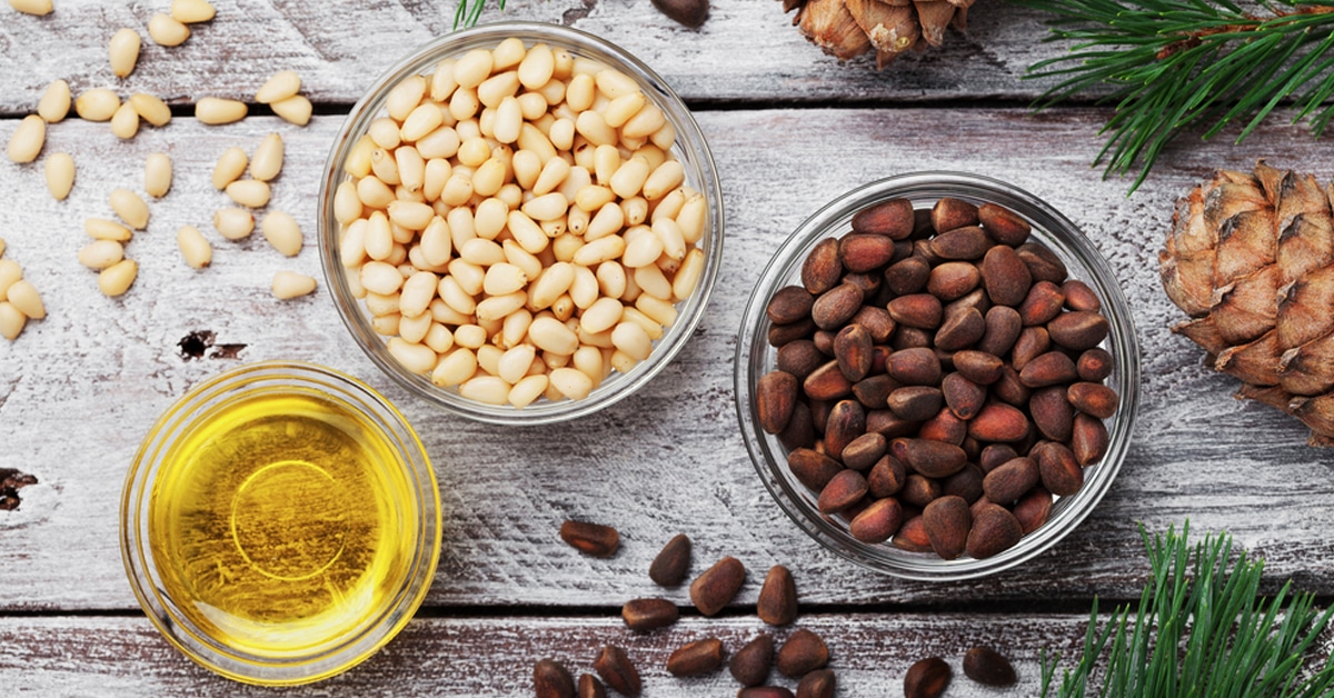 تفسير رؤية حبات الصنوبر في المنام