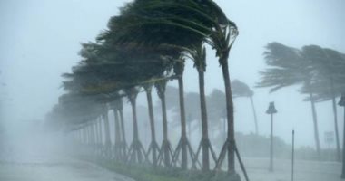 تفسير رؤية الرياح القوية في المنام