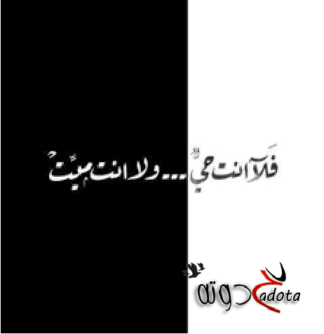 تفسير حلم رؤية الميت حي ولا يتكلم بالتفصيل الكامل والصحيح