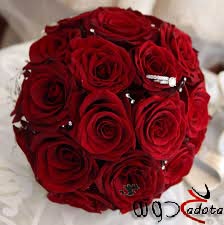 تفسير حلم رؤية الورد الأحمر في المنام