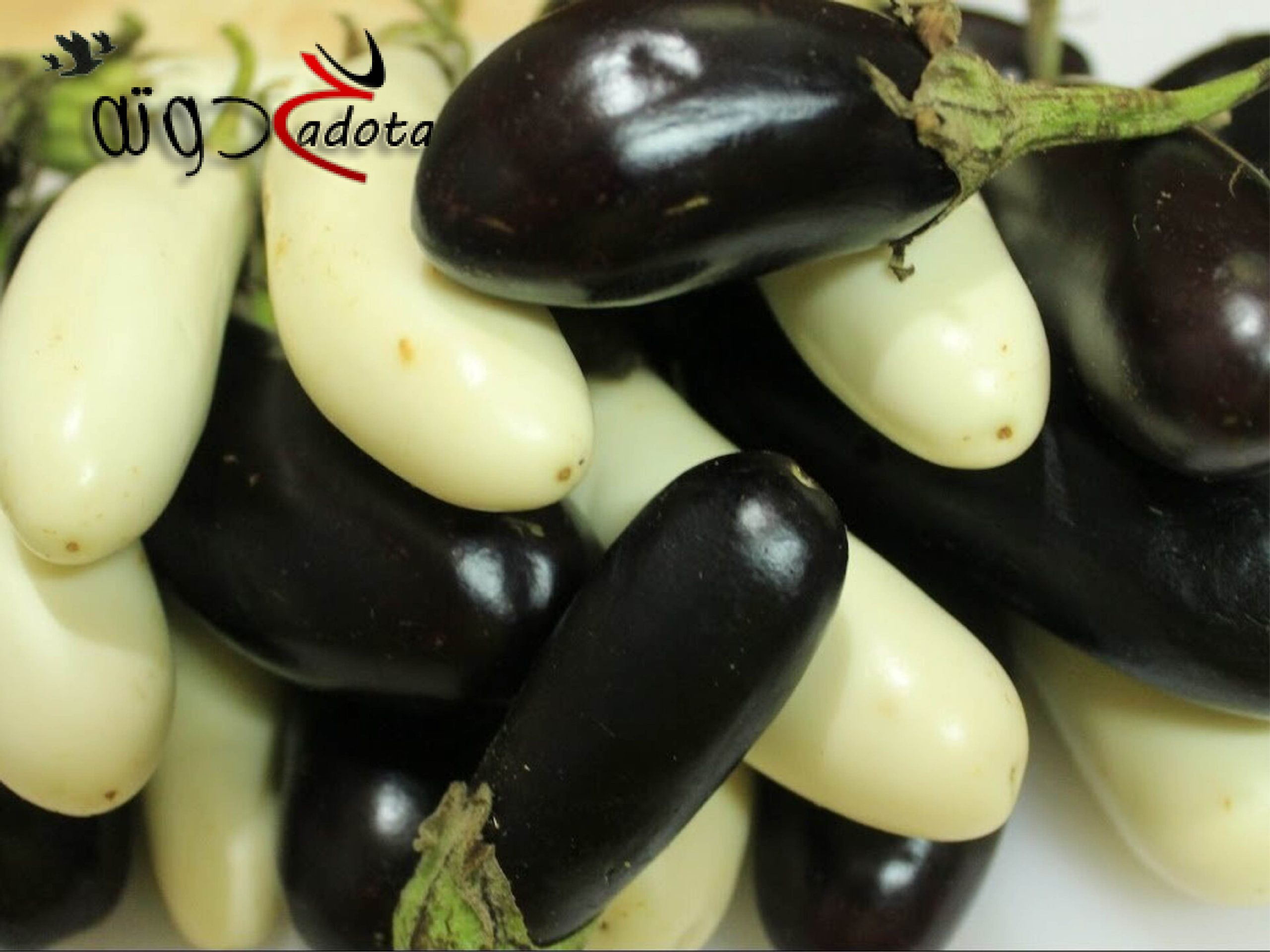 تفسير حلم رؤية شراء الباذنجان في المنام