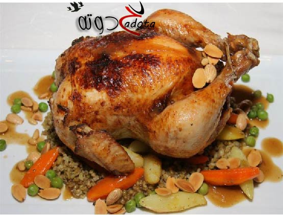 تفسير حلم رؤية الدجاج المحمر في المنام