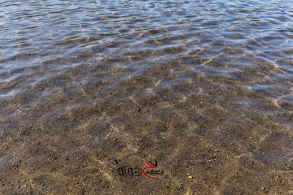 تفسير حلم رؤية السباحة في ماء ضحل في المنام