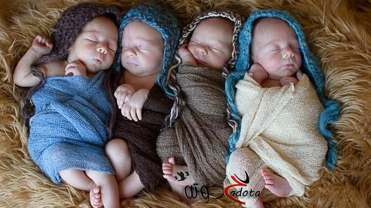 تفسير حلم رؤية الحمل بأربع توائم في المنام