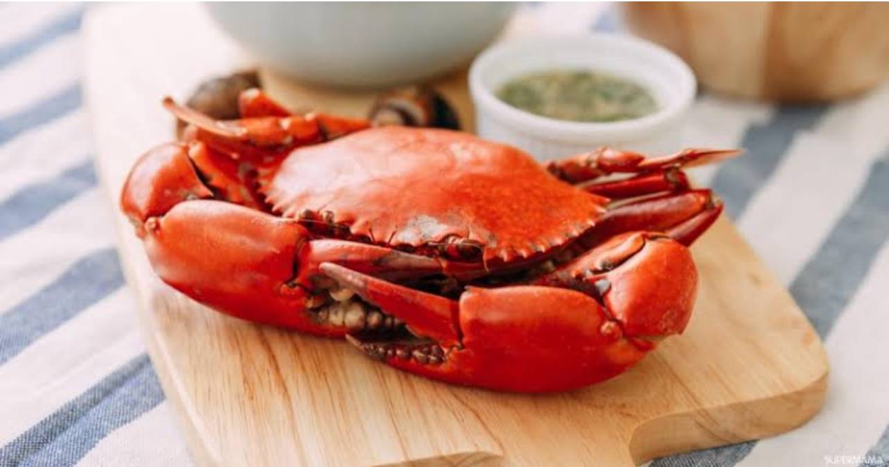 تفسير حلم الكابوريا