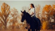 تفسير حلم رؤية ركوب الخيل والجري به في المنام