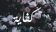 تفسير حلم رؤية اسم كفاية في المنام